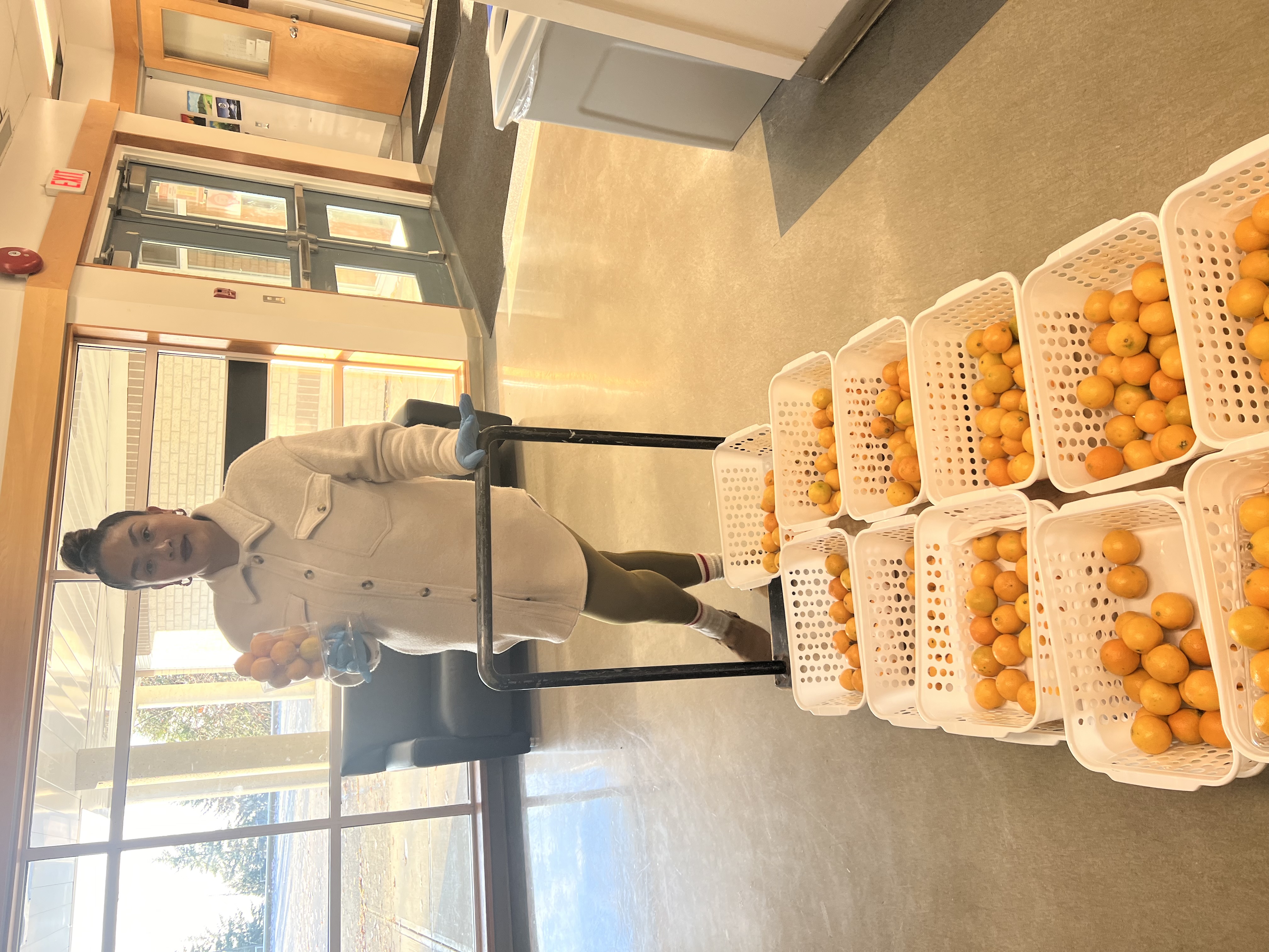 Dehara delivering food to community